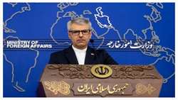 سخنگوی وزارت امور خارجه اسماعیل بقایی، حمله به انستیتو پاستور ایران حمله به ارزش‌های بنیادین انسانی است